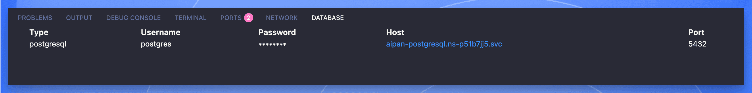 Database connection details displayed in VS Code